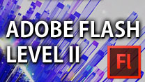 Adobe Flash Level II