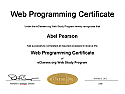 Web Programming Certificate